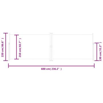 Retractable Side Awning Anthracite 220x600 cm | HipoMarket