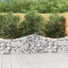  Arched Gabion Baskets 15 pcs 200x30x6080 cm Galvanised Iron Size 200 x 30 x 60/80 cm Quantity in Package 15 