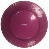 FitPAWS Pet Balance Disc 36 cm Razzleberry - Enhance Dog Training