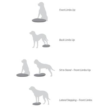 FitPAWS Pet Balance Disc 36 cm Razzleberry - Enhance Dog Training