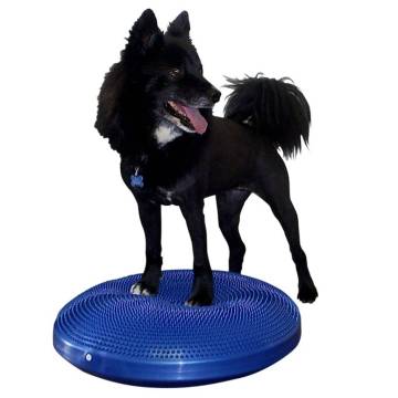 FitPAWS 56 cm Blue Pet Balance Disc - Fitness & Therapy Tool