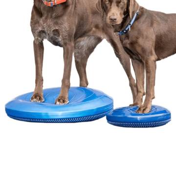 FitPAWS 56 cm Blue Pet Balance Disc - Fitness & Therapy Tool