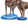 FitPAWS 56 cm Blue Pet Balance Disc - Fitness & Therapy Tool