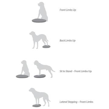 FitPAWS 56 cm Blue Pet Balance Disc - Fitness & Therapy Tool