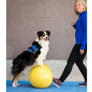 FitPAWS Trax Peanut Pet Balance Platform - 40 cm Yellow