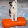 FitPAWS K9FITbone Pet Balance Platform - 58x29x10 cm Orange