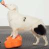 FitPAWS K9FITbone Pet Balance Platform - 58x29x10 cm Orange