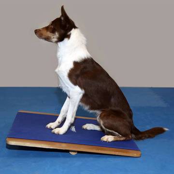 FitPAWS Giant Rocker Board 75x75 cm - Enhance Dog Training