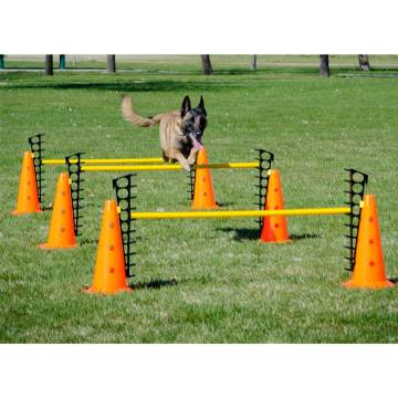 FitPAWS Hurdle Set | Agility & Rehabilitation Training