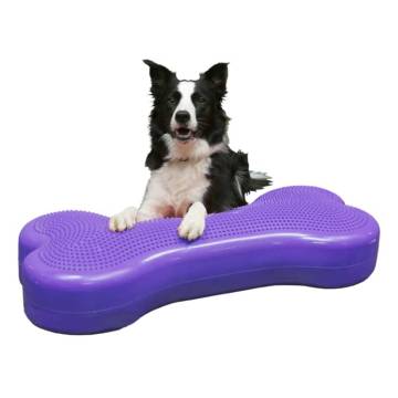 FitPAWS Giant K9FITbone Balance Platform for Dogs - Violet