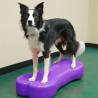 FitPAWS Giant K9FITbone Balance Platform for Dogs - Violet