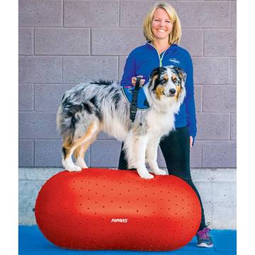 FitPAWS Trax Peanut Balance Platform - 50 cm Red