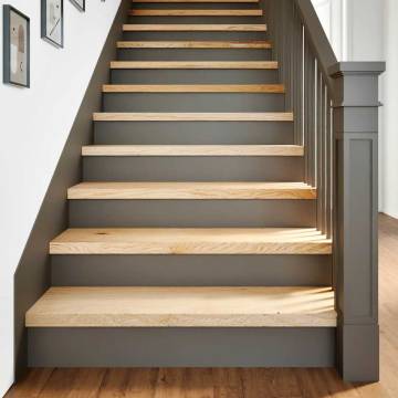 Stair Treads 4 pcs Untreated Solid Oak - 100x30x2 cm