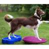 FitPAWS Pet Balance Disc 56 cm Razzleberry - Ideal for Training