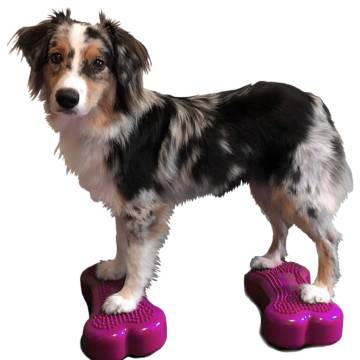 FitPAWS Mini K9FITbone - Pet Balance Platform (2 pcs)