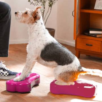 FitPAWS Mini K9FITbone - Pet Balance Platform (2 pcs)