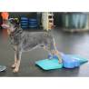 FitPAWS Pet Balance Ramp - Train & Exercise Your Pet!