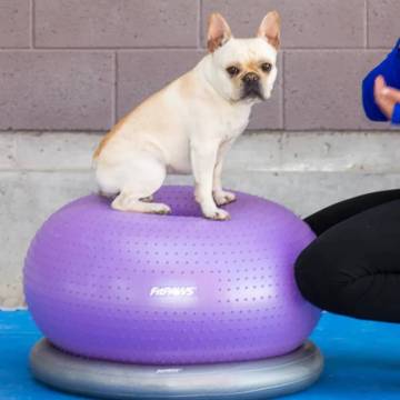 FitPAWS Pet Balance Ball TRAX Donut 55 cm - Purple Dog Training