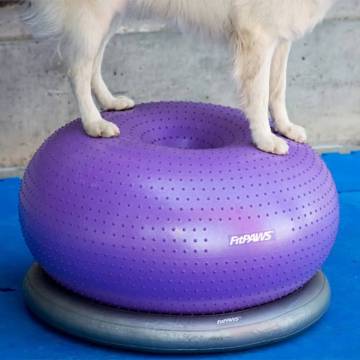 FitPAWS Pet Balance Ball TRAX Donut 55 cm - Purple Dog Training