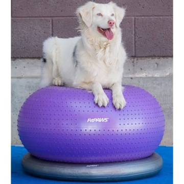 FitPAWS Pet Balance Ball TRAX Donut 55 cm - Purple Dog Training