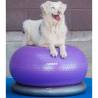 FitPAWS Pet Balance Ball TRAX Donut 55 cm - Purple Dog Training