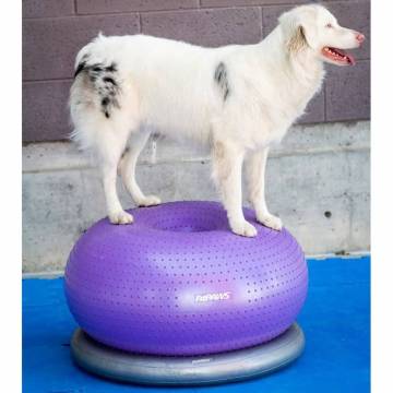 FitPAWS Pet Balance Ball TRAX Donut 55 cm - Purple Dog Training