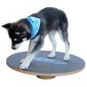 FitPAWS Wobble Board 50 cm Black - Balance & Core Training