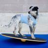 FitPAWS Wobble Board 50 cm Black - Balance & Core Training