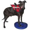 FitPAWS Pet Balance Disc 36 cm Blue - Dog Fitness & Therapy