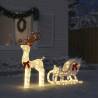 Christmas Decoration Reindeer & Sleigh with 100 LEDs - Cold White