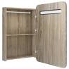 LED Bathroom Mirror Cabinet Oak 60x11x80 cm | Stylish Storage