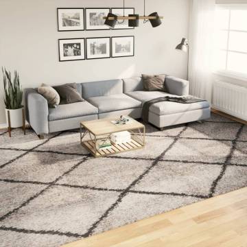 Shaggy Rug PAMPLONA - High Pile Beige and Anthracite 300x400 cm