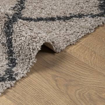 Shaggy Rug PAMPLONA - High Pile Beige and Anthracite 300x400 cm