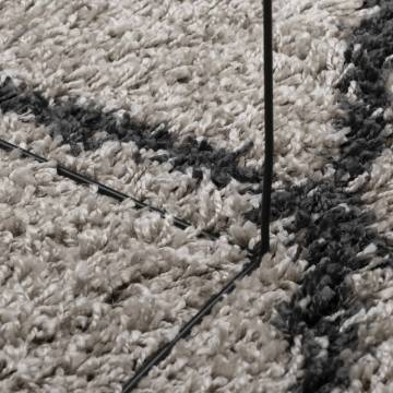 Shaggy Rug PAMPLONA - High Pile Beige and Anthracite 300x400 cm