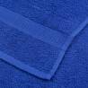 Soft Blue Guest Towels - 2 Pcs 30x50 cm, 100% Cotton