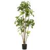 Emerald Artificial Polyscias Tree - 160 cm Lifelike Decor