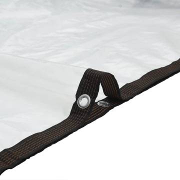 Clear Tarpaulin with Eyelets 1x3 m - Durable & Versatile