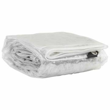 Clear Tarpaulin with Eyelets 2x5 m PVC - Durable & Versatile