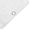 Clear Tarpaulin with Eyelets 2x5 m PVC - Durable & Versatile