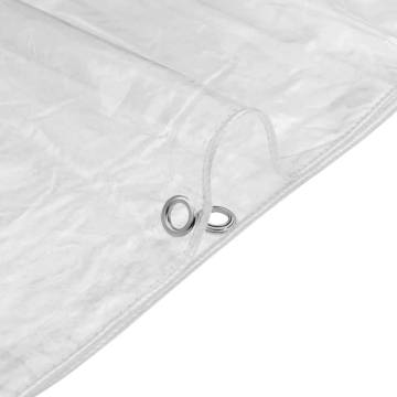 Clear Tarpaulin with Eyelets 2x5 m PVC - Durable & Versatile