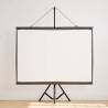 60 Inch Tripod Projection Screen - Perfect for Any Occasion