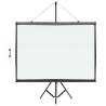 60 Inch Tripod Projection Screen - Perfect for Any Occasion