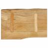 Live Edge Solid Wood Mango Table Top - 60x40 cm | HipoMarket