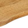 Live Edge Solid Wood Mango Table Top - 60x40 cm | HipoMarket