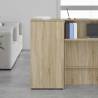 Sonoma Oak Storage Cabinet - Compact & Durable | Hipomarket