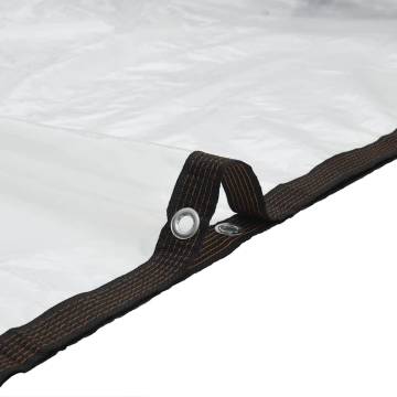 Clear Tarpaulin with Eyelets 3x3m - Durable & Versatile