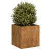  Planter Rusty 40x40x40 cm Weathering Steel Colour weathering steel/brown Size 40 x 40 x 40 cm Quantity in Package 1 