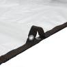 Clear Tarpaulin with Eyelets 1x6 m - Durable & Water-Resistant