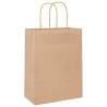 Buy 50 Brown Paper Bags with Handles | Eco-Friendly Packaging