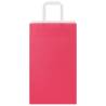 250 Pink Paper Bags with Handles | Eco-Friendly & Durable